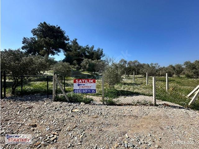 Kuş sesleri içinde Yazıbaşı'nda 500m2 huzur bahçesi.