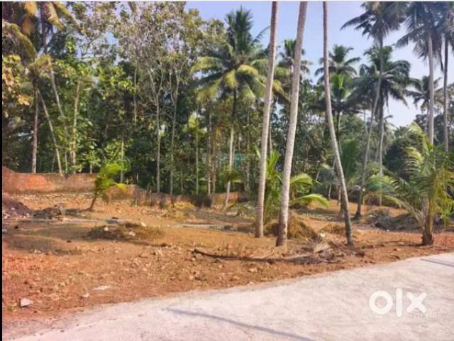 Kumarapuram, Thiruvananthapuram City 3924 Sq.Ft. Plot in Kumarapuram Thiruvananthapuram Listing ID: #10170