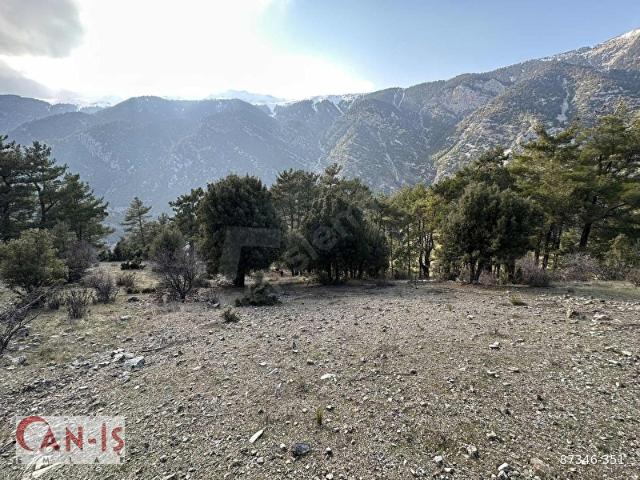 Kumluca Büyükalan Köyü 1.750 m2 Tek Tapu Tarla CANİŞ EMLAK
