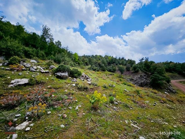 KUMLUCA I KUZCA'DA SATILIK 2 DÖNÜM ARAZİ