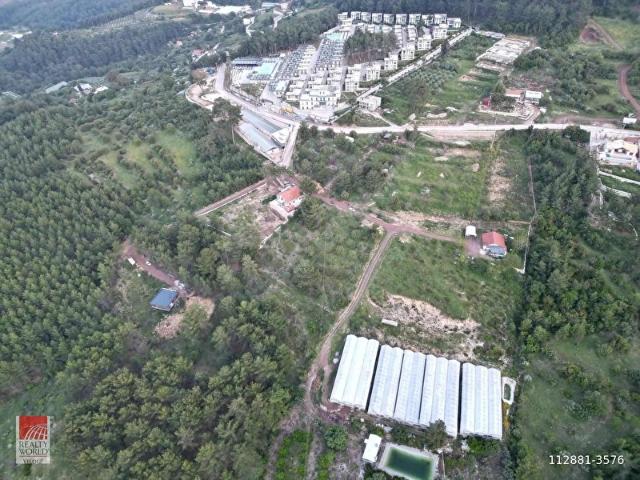 KUMLUCA YAZIR OLİMPOSTA 4000 M2 RIZAİ TAKSİMLİ TARLA