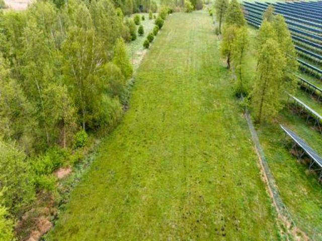 Kuny, 15391 m² Działka