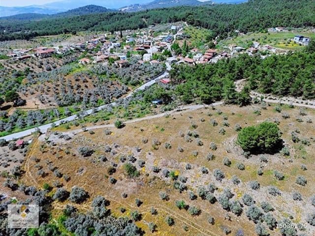 Künarlıoğlu Gruptan Düverliikte Uygun Fiyata Zeytinlik