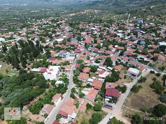 Künarlıoğlu Gruptan Torbalı Dirmil Köyü'nde 3.530 m2 zeytinlik