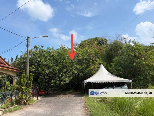 Kuala Dungun
