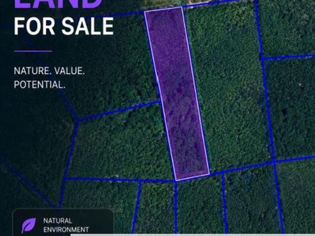kuala kangsar perak textile freehold agri land
