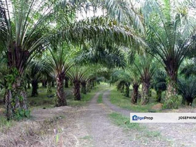 Kuala Klawang