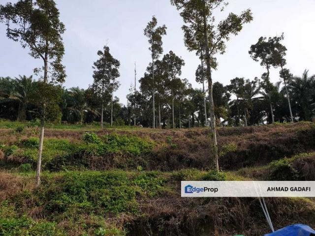 Kuala Kubu Bharu