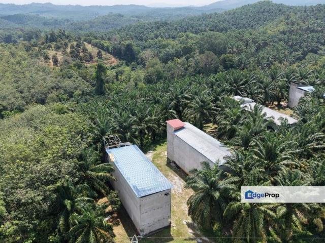 Kuala Lipis