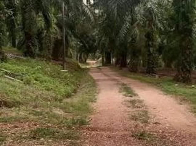Kuala Lipis