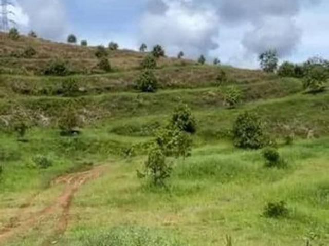 Kuala Lipis
