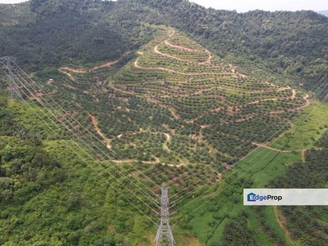 Kuala Pilah
