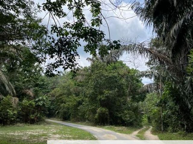 Kuala Pilah