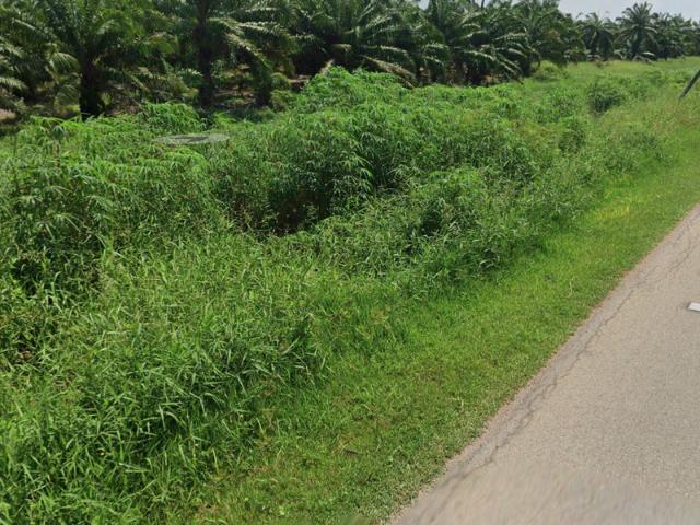 Mainroad frantage Agriculture Land for Sale