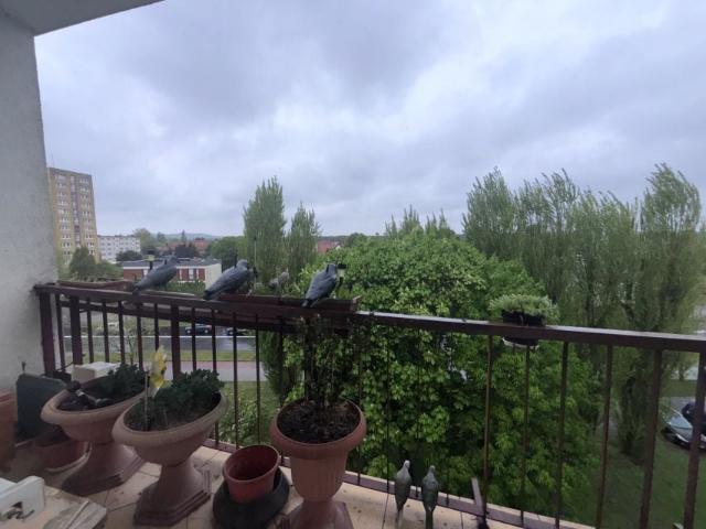 Kujawska 53 m², Świnoujście