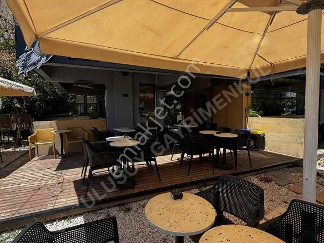 Kültür Mahallesi'nde Devren Kiralık Kafe 450m²