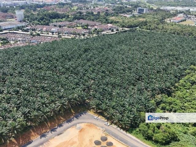 Kulai Saleng 7.5 Acres Land