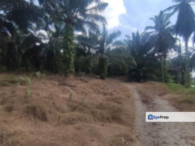 Kulai Industrial Land