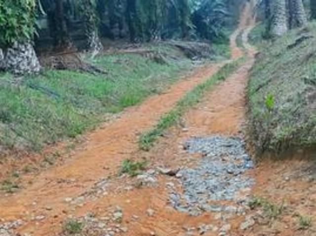 Kulai/Senai Palm Oil Agriculture Land For