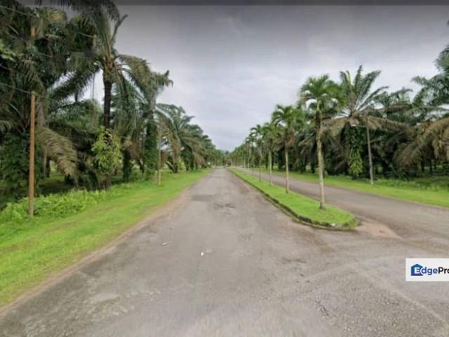 Kulai 1230 Acres Mix Development Palm Oil Land For