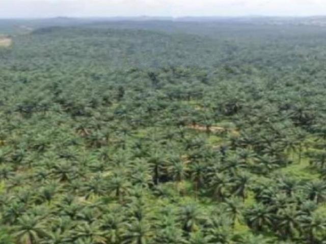 Kulai 3.5 to 5 acres Industrial Land