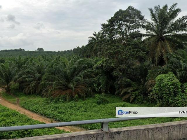 Kulaijaya Commercial Land