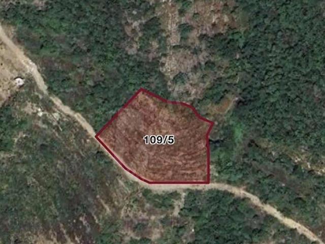 KURULU DÜZEN AVOKADO BAHÇESİ 2992 m2