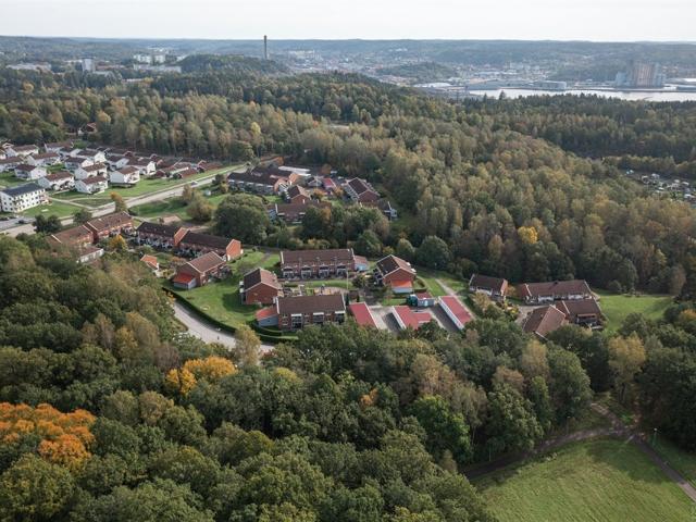 kurveröd, uddevalla, västra götaland