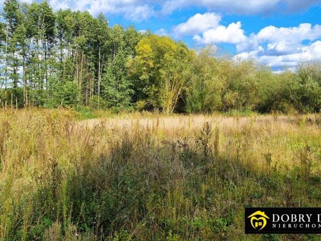 Działka 1000 m² z planem, las i spokojna okolica