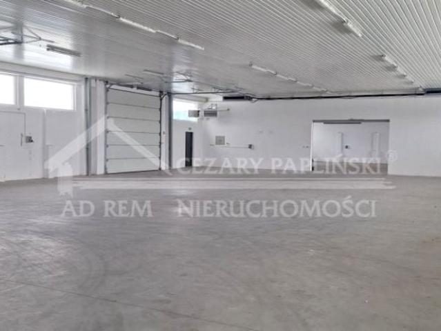 Kurów 900 m², Kurów