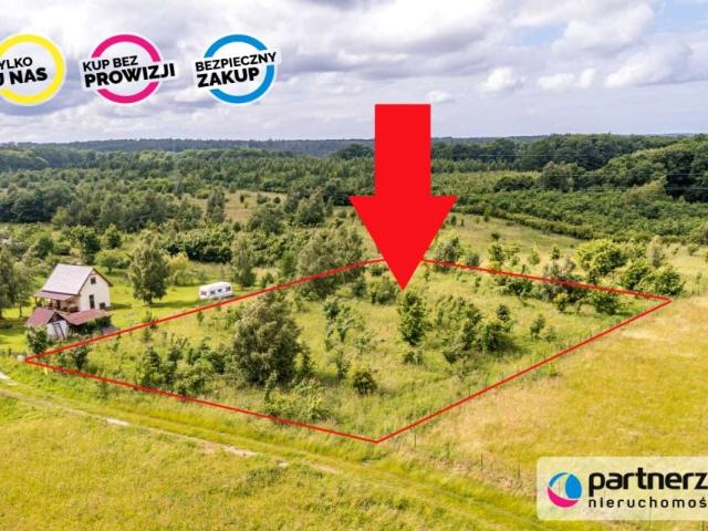 Kuszników 2 954 m², Świecino