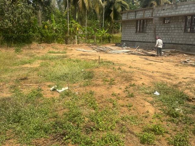 Kuttoor, Thrissur City 2178 Sq.Ft. Plot in Kuttoor Thrissur Listing ID: #10353