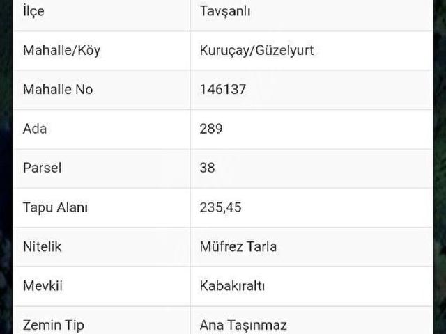 KÜTAHYA TAVŞANLI SATILIK TARLA