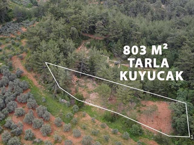 Kuyucak Mahallesinde 803 m2 Yatırımlık Tarla