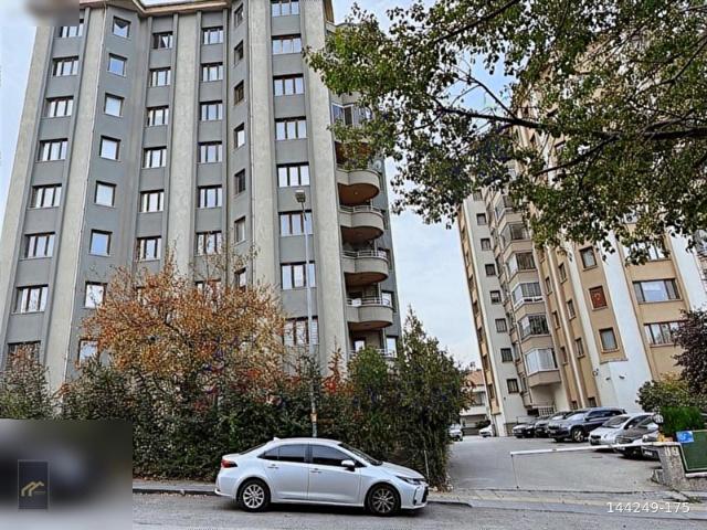 KUZ DAN ÖVEÇLERDE FUL YAPILI DAİRE