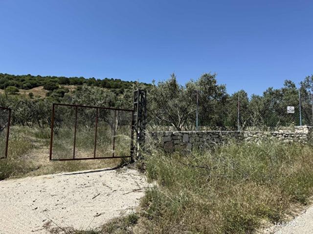 KZBEYLİ'DE TEK TAPU 1783 m2 SATILIK TARLA