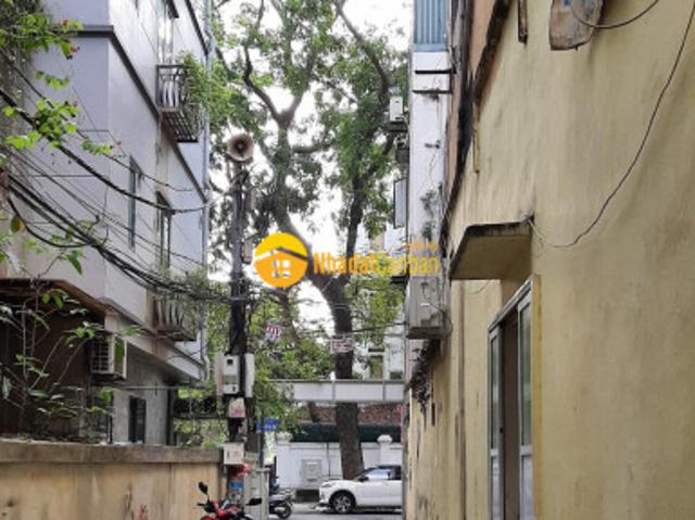 Lý nam đế, căn góc, 50m2 x 6 tầng. Phù hợp mô hình kd văn phòng, spa, nha khoa, homestay