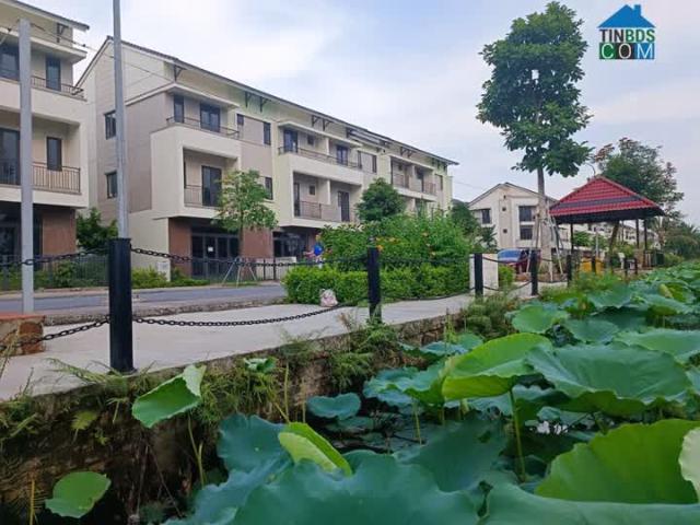 Lời ngay 1 tỷ khi mua căn biệt thự vườn ven sông sen kđt Vsip