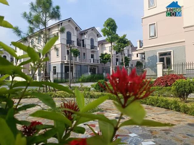 Lời ngay khi mua BTSL 135m2 Centa Vsip Từ Sơn