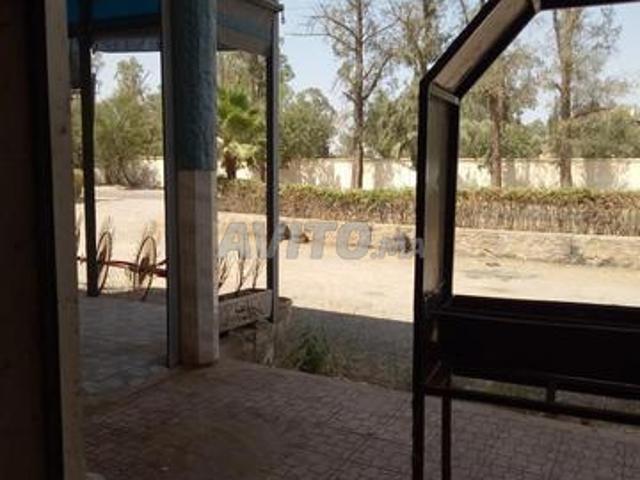 الحاج قدور
