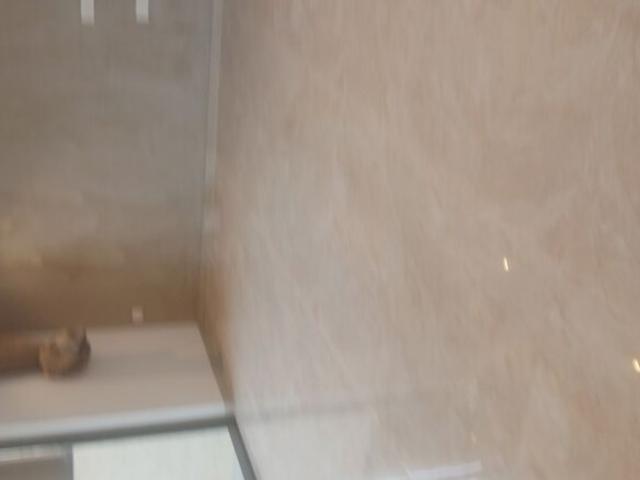 L&T Emerald Isle 2.5 Bedroom 1250 Sq. Ft. Apartment in Powai Mumbai Listing ID: #10238