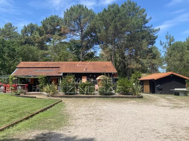 LA TESTE DE BUCH Cabane de résinier sur 22 hectares de forêt