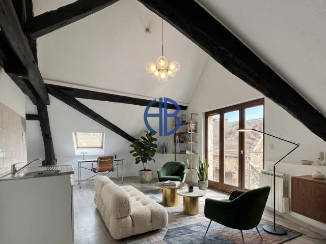 La Tour du Pin Vente Appartement 38