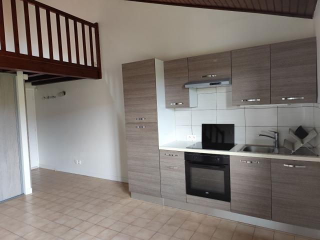 La Tour de Salvagny Appartement T2 avec mezzanine