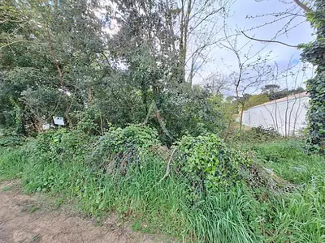 La Tranche sur Mer 85360 Achat / Vente terrain