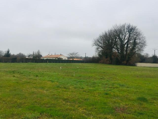 La Tremblade Vente Terrain 17