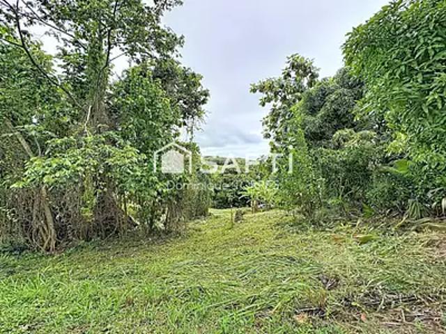 La Trinité 97220 Achat / Vente terrain