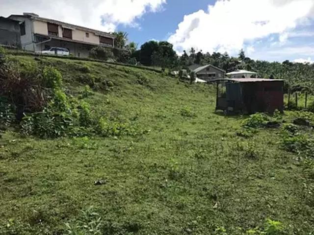 La Trinité 97220 Achat / Vente terrain