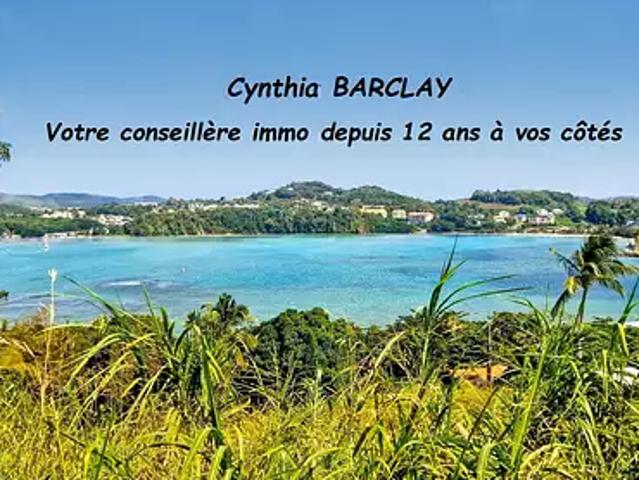 La Trinité 97220 Achat / Vente terrain au dernier étage