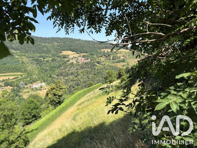 La Valla en Gier Vente Terrain 42